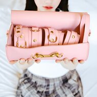 Kiotos - BDSM Fancy 5 Item Kit - Luxe Draagtas met 5 Verschillende BDSM Artikelen - Roze