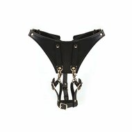 Liebe Seele - Dark Secret - Forced Orgasm - Gedwongen Orgasme - Harness Belt - Harnas Riem