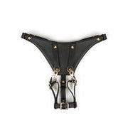 Liebe Seele - Dark Secret - Forced Orgasm - Gedwongen Orgasme - Harness Belt - Harnas Riem