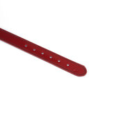 Liebe Seele - Premium Lederen Choker met Diamantjes - Wijnrood