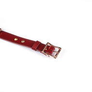 Liebe Seele - Premium Lederen Choker met Diamantjes - Wijnrood