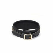 Liebe Seele - Demon's Kiss - Smalle Curved Collar Met Leash - Luxe En exclusief ontwerp - Zwart/Goud