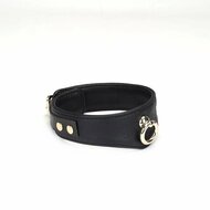 Liebe Seele - Demon's Kiss - Smalle Curved Collar Met Leash - Luxe En exclusief ontwerp - Zwart/Goud