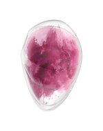 Satisfyer - Cloud Dancer - Luchtdruk Vibrator met Vibratie - Rood