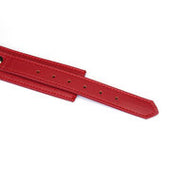 Liebe Seele - Crimson Red - PU Lederen Collar met Leiband - Vegan - Rood/Goud