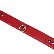 Liebe Seele - Crimson Red - PU Lederen Collar met Leiband - Vegan - Rood/Goud