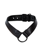 Cut4Men - Wetlook Collar met strap en Cockring - Zwart