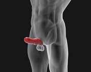 Hünkyjunk - Swell Adjust Fit - Penis Sleeve - Grijs