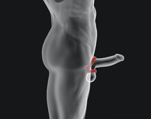 Hünkyjunk - Connect - Penis & Balzak Tugger Ring - Blauw