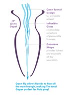 Pipedream - Anal Fantasy Elite Beginner's Anal Glass Gaper- Transparant