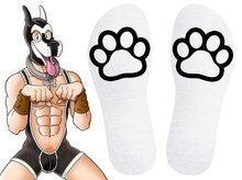 SneakXX - Sneaker Sokken PAW - Wit