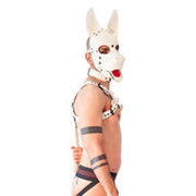 Brutus Vegan Bulldog Harnas - Wit - Maat L/XL