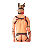 Brutus Vegan Bulldog Harnas - Zwart/Rood - Maat S/M