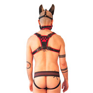Brutus Vegan Puppy Harnas - Zwart/Rood - Maat S/M