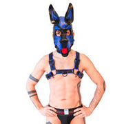 Brutus Vegan Puppy Harnas Zwart/Blauw - Maat S/M