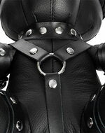 Rimba - Zwart Lederen BDSM Teddybeer