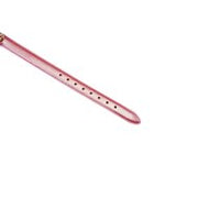 Liebe Seele - Lustre Rose - Lederen Collar met Leash - Parelmoer Roze met Gouden Hardware