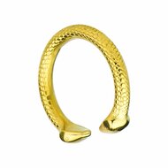 Kiotos - Eikel Ring - Glans Ring - Snake - Goud
