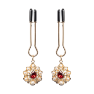 Rimba - Tepelklemmen met Strass Hanger - Goud
