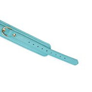 Liebe Seele - Siren's Cove - Lamslederen Collar met Leiband - Lichtblauw - Gouden Hardware