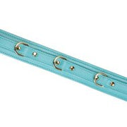 Liebe Seele - Siren's Cove - Lamslederen Collar met Leiband - Lichtblauw - Gouden Hardware