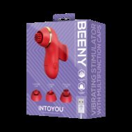 IY Beeny - Multifunctionele vibrator - Met 4 Opzetstukjes - Rood