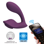 Pretty Love - Franz - Draagbare Vibrator - Panty Vibrator - Vibrerend Slipje - Paars