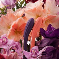 LELO - Boomerang - Dubbelzijdige Vibrator - Dubbele Motor - Paars