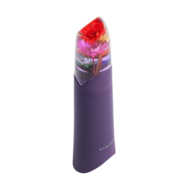 LOVISS - Lipora - Garden Bullet Vibrator - Paars