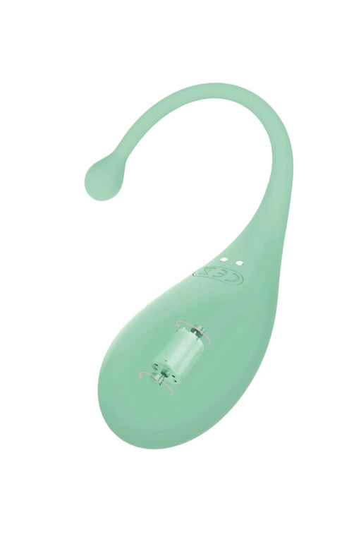 Adrien Lastic - Palpitation - Vibrerend Eitje - Mintgroen-Erotiekvoordeel.nl