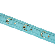 Liebe Seele - Siren's Cove Lamslederen Collar met Leiband - Turquoise-Erotiekvoordeel.nl