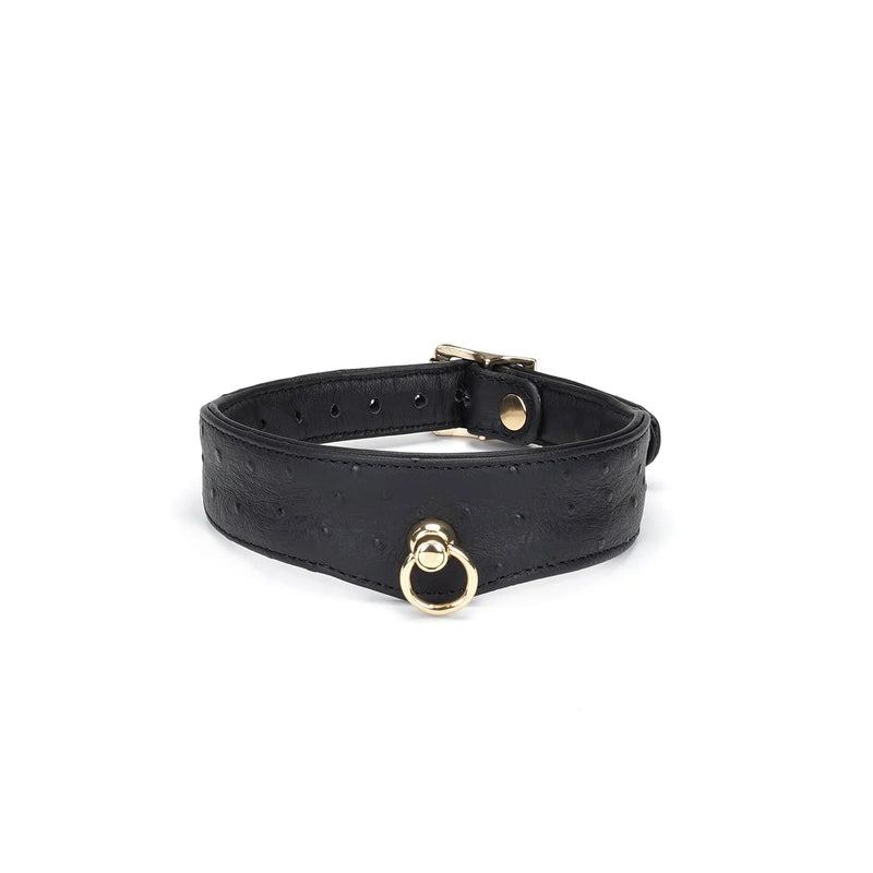Liebe Seele - Demon's Kiss - Smalle Curved Collar Met Leash - Luxe En exclusief ontwerp - Zwart/Goud