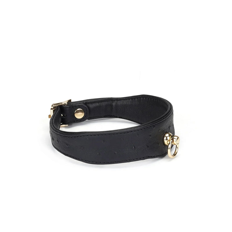 Liebe Seele - Demon's Kiss - Smalle Curved Collar Met Leash - Luxe En exclusief ontwerp - Zwart/Goud