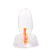 Dinoo Primal Desires - Bracho - Grote Dildo Met Zuignap - Transparant