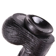 Dinoo - Curve - XXL Dildo - 31 x 5.5 cm - Zwart