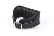 Halsband Groot En Luxe Leer
