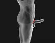 Hünkyjunk - Fit Ergo Shaped Cockring - Ice
