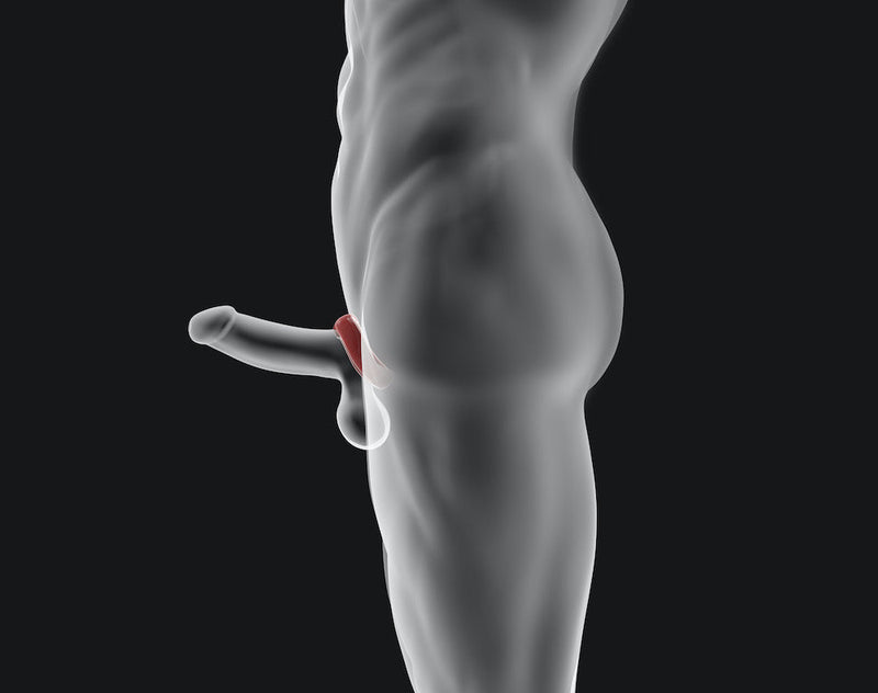 Hünkyjunk - Fit Ergo Shaped Cockring - Ice