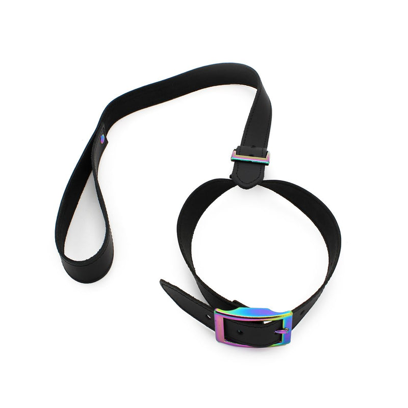 Kiotos Leather - Leren Collar Met Leiband Met Rainbow Gekleurde Metalen Gesp