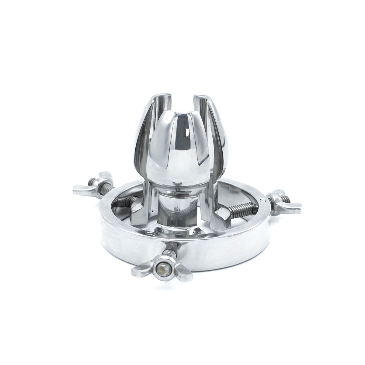 Holle buttplugs