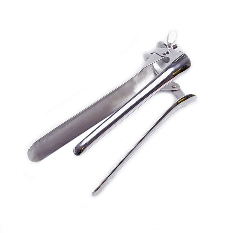 Kiotos - XXXL Speculum Van RVS