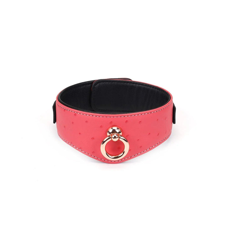 Liebe Seele - Angel's Kiss - Curved Collar Met Leash - Luxe En exclusief ontwerp - Roze/Zwart/Rosé Goud