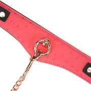 Liebe Seele - Angel's Kiss - Curved Collar Met Leash - Luxe En exclusief ontwerp - Roze/Zwart/Rosé Goud