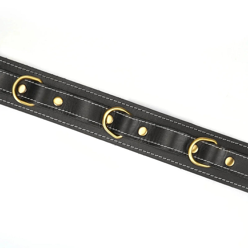 Liebe Seele - Warrior Princess - Stoere Lederen Collar met Messing Hardware - Zwart - Uit Japan