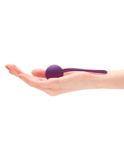 Love to Love - Per'fit Kit Kegel Balletjes Bekkenbodem Training - Paars