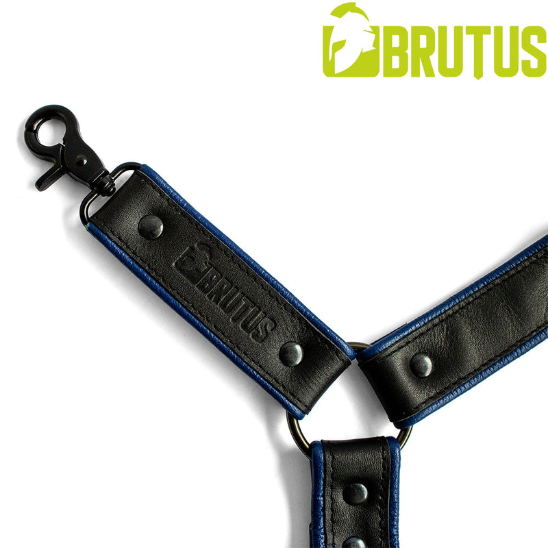 Brutus - Lederen Beenharnas - Verstelbaar- Zwart/Blauw-Erotiekvoordeel.nl