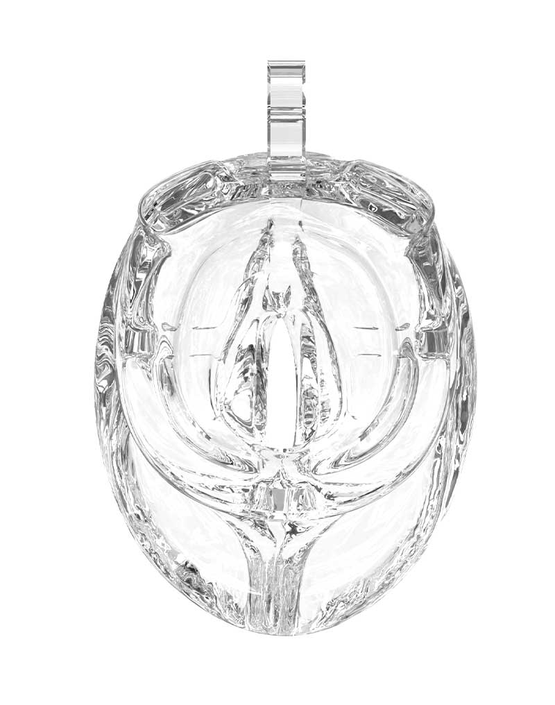 Rimba P-Cage PC10 - Kuisheidskooi - Peniskooi - Pussy - Transparant-Erotiekvoordeel.nl